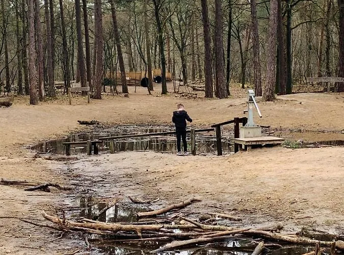 Tukken Op De Maashorst *