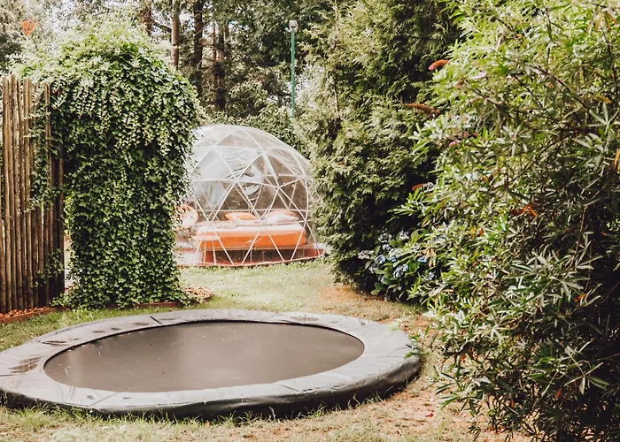 Tukken Op De Maashorst Schayk