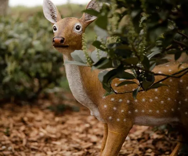 Casa vacanze Tukken Op De Maashorst *